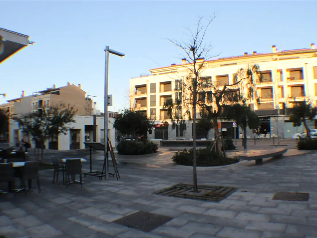 Location de Vacances Roses 701