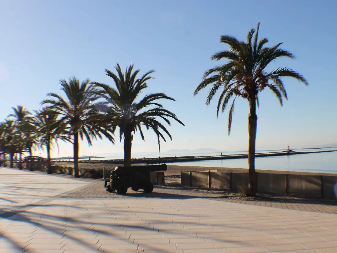Location de Vacances Roses 701