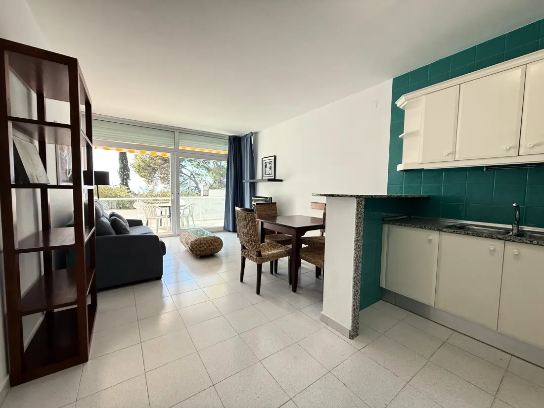 Location de Vacances Roses 703