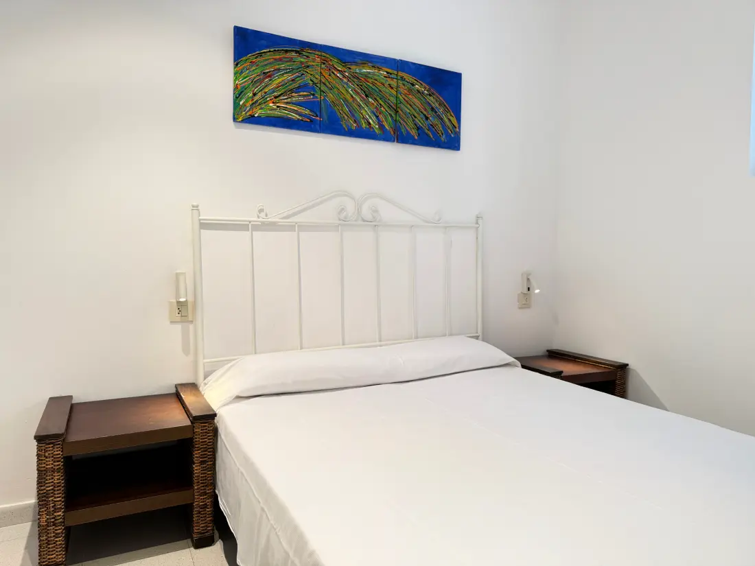 Location de Vacances Roses 703