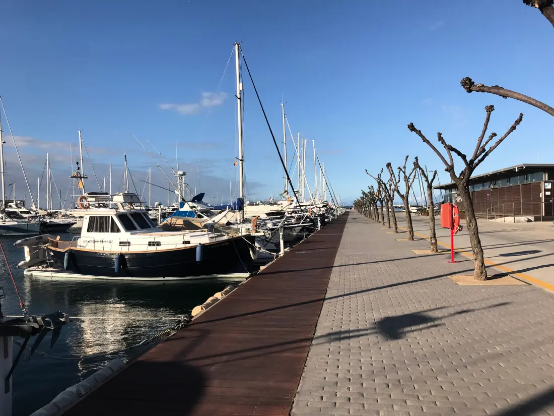 Location de Vacances Roses 706