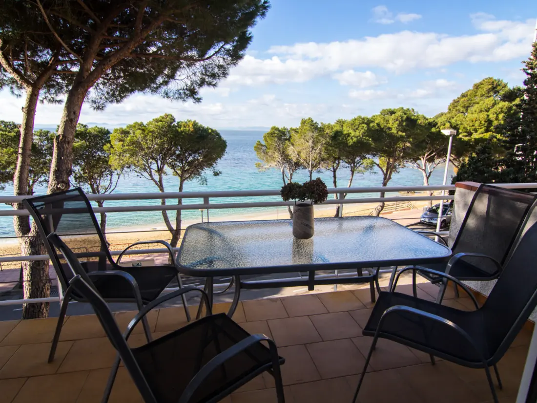 Location de Vacances Roses 707