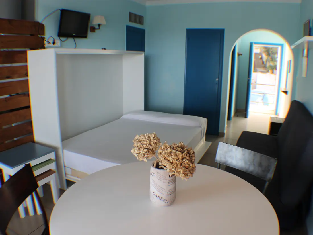 Location de Vacances Roses 707