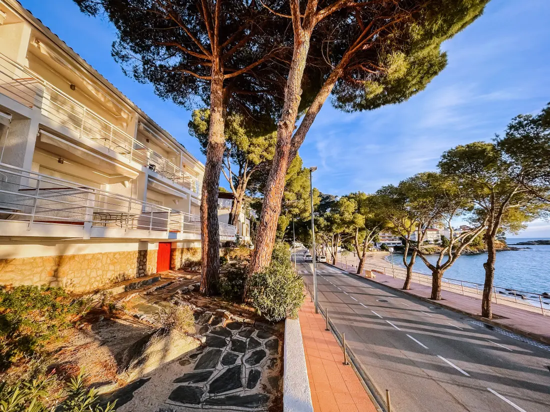 Location de Vacances Roses 707