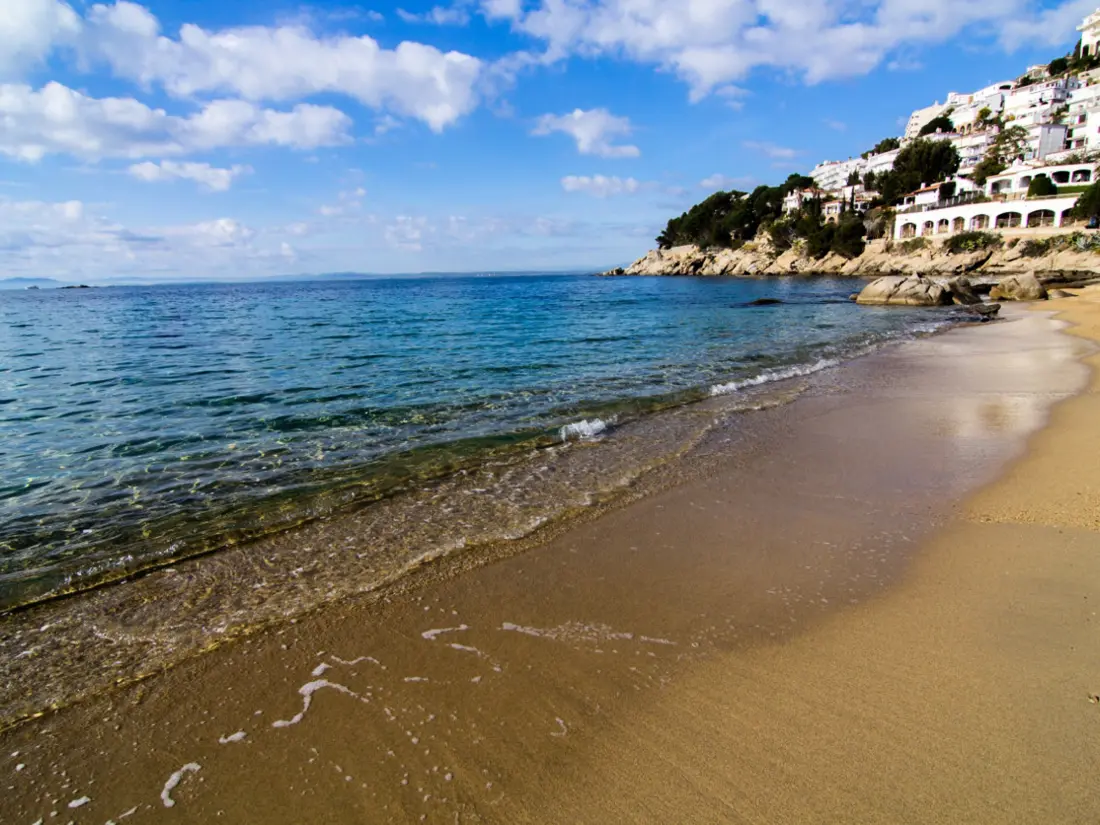 Location de Vacances Roses 711