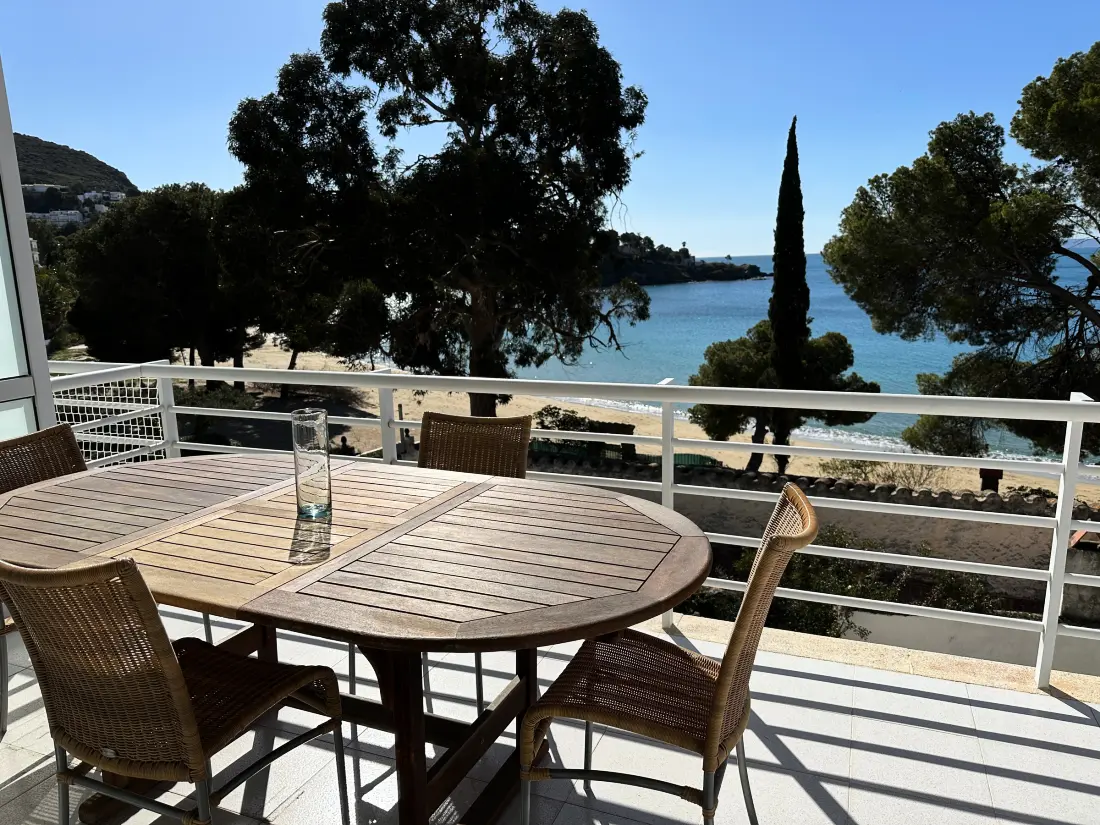 Location de Vacances Roses 717