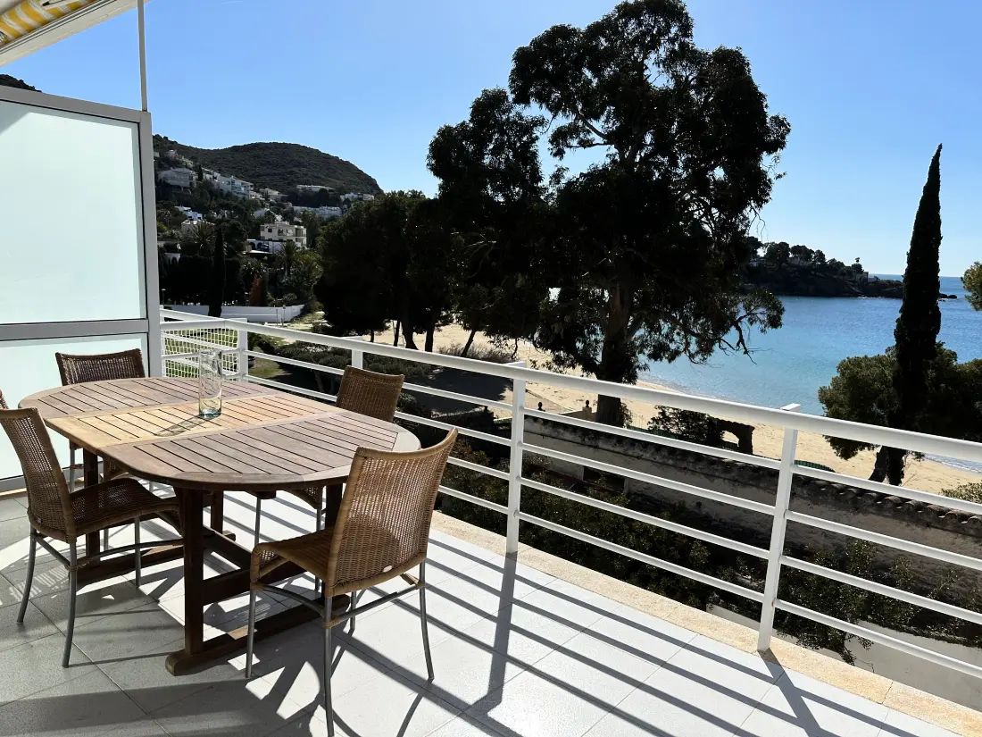 Location de Vacances Roses 717