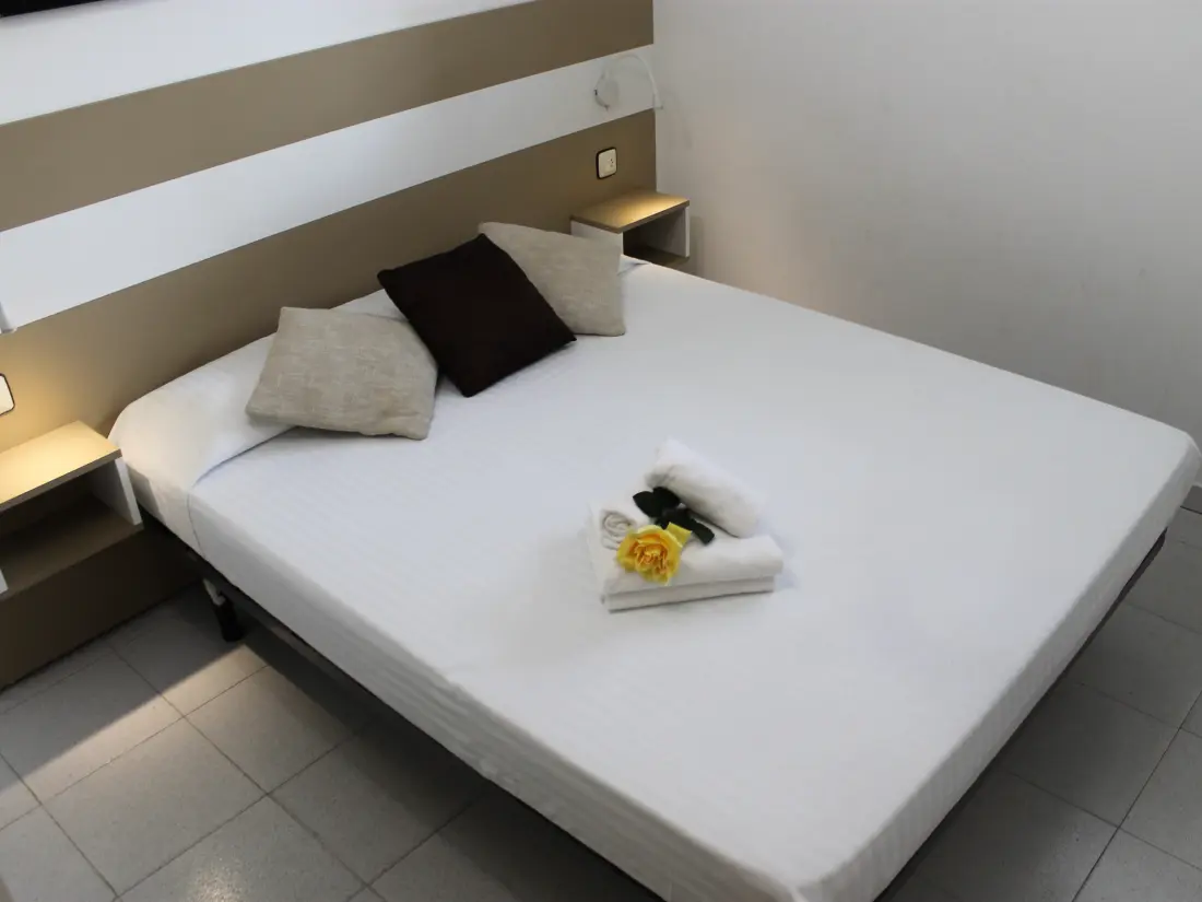 Location de Vacances Roses 717
