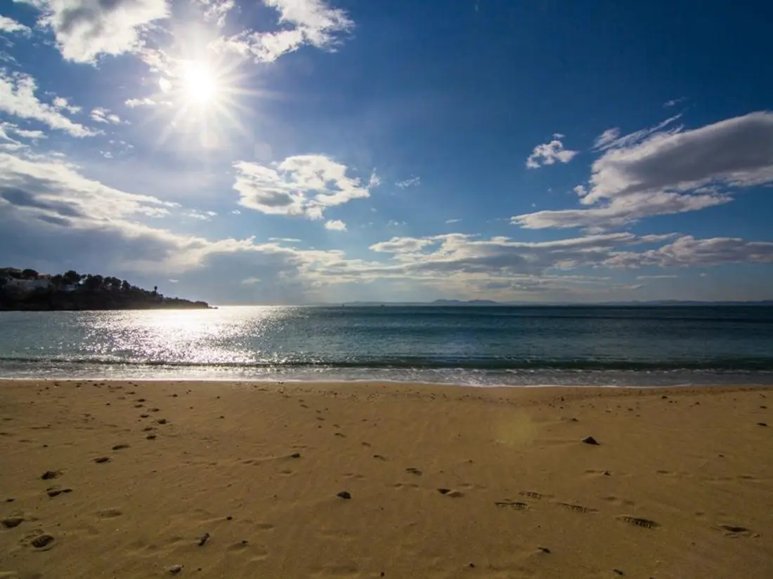 Location de Vacances Roses 717