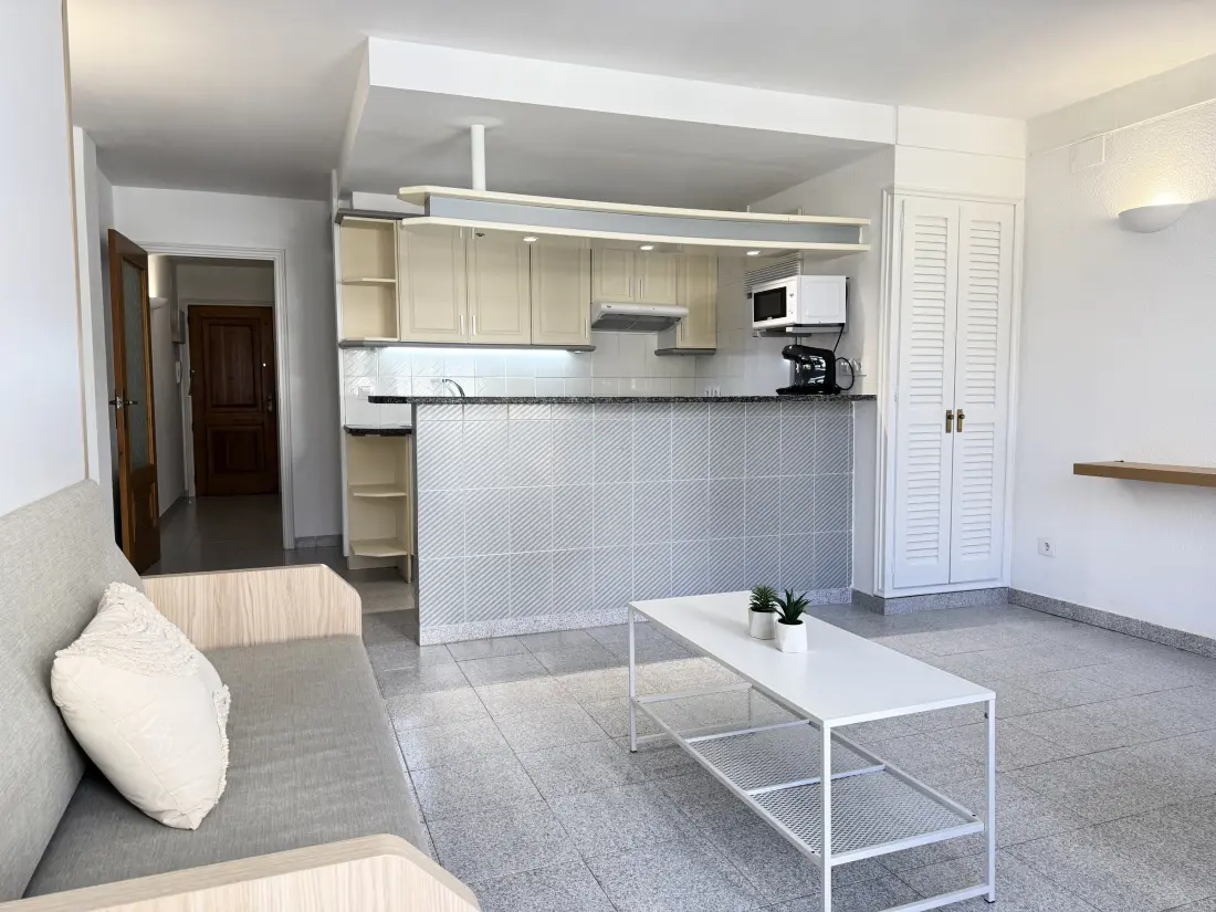 Location de Vacances Roses 719