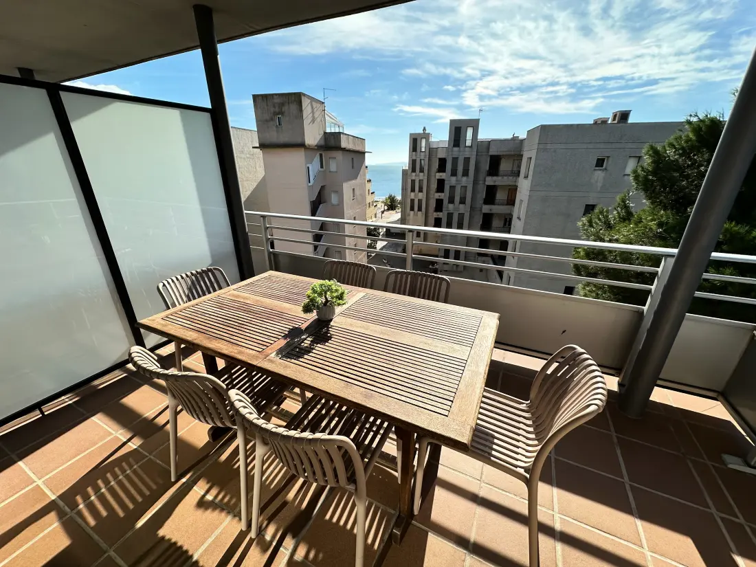 Location de Vacances Roses 721