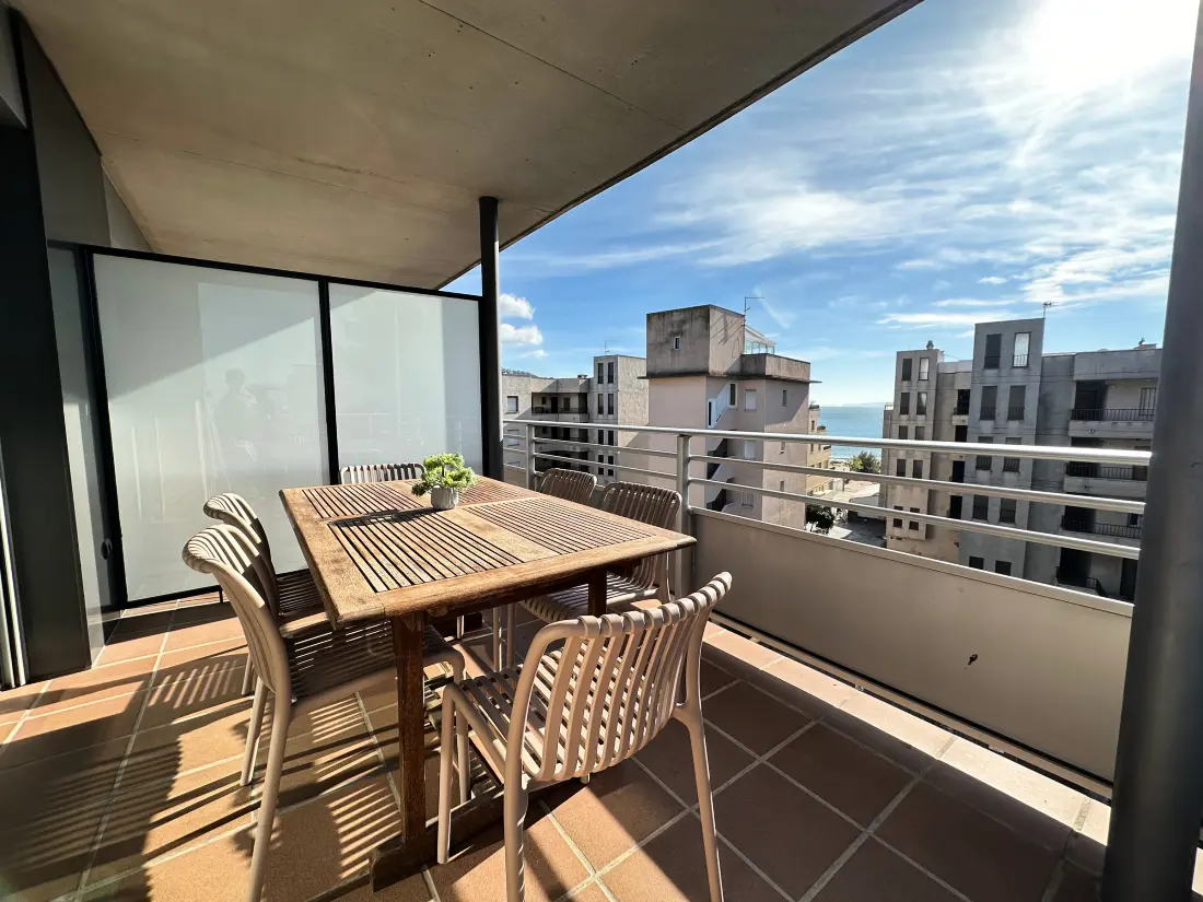 Location de Vacances Roses 721