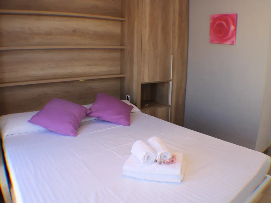 Location de Vacances Roses 724