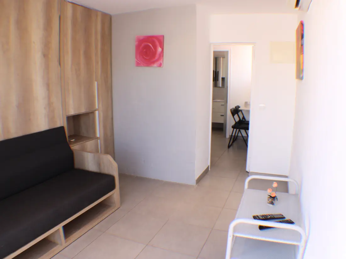 Location de Vacances Roses 724