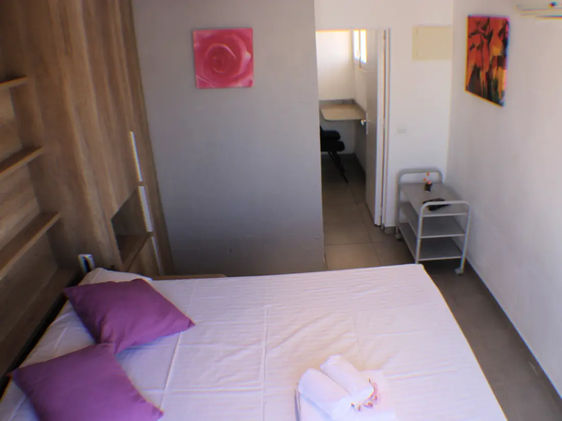 Location de Vacances Roses 724