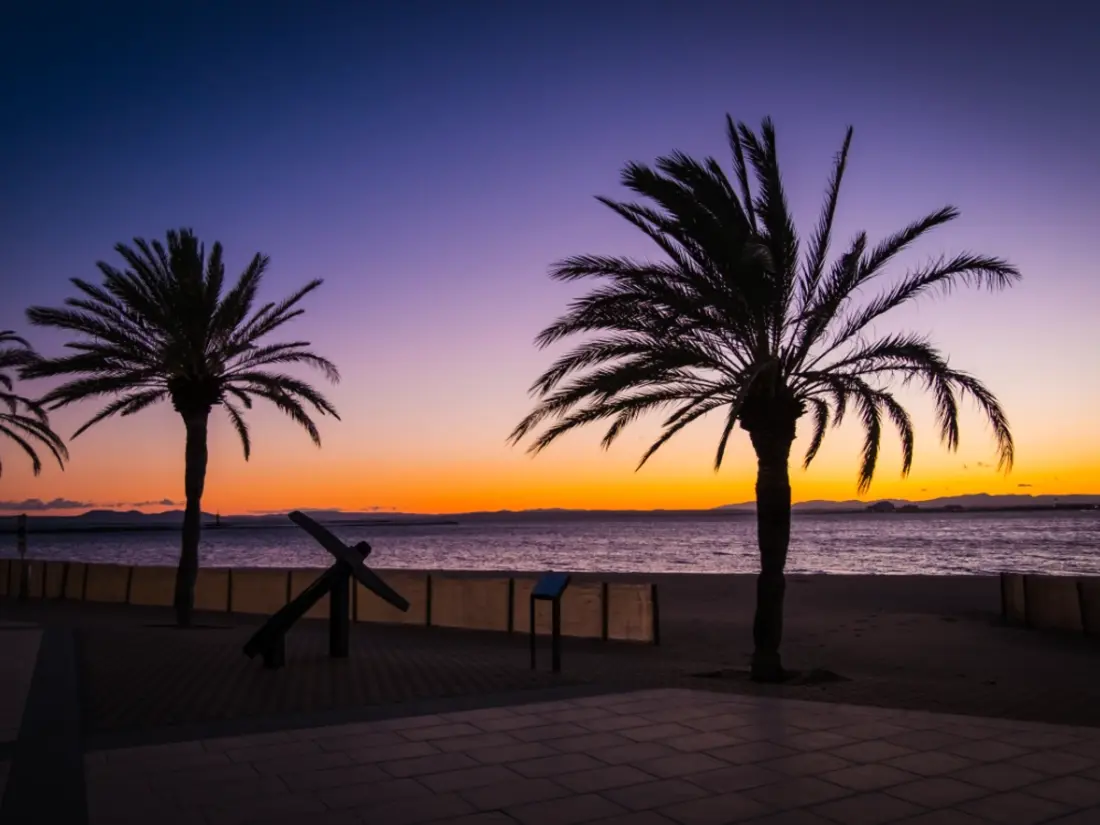 Location de Vacances Roses 724