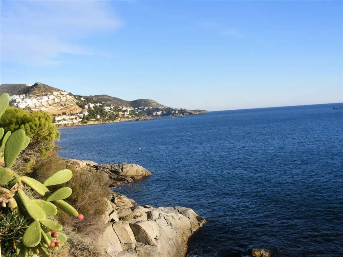 Location de Vacances Roses 724