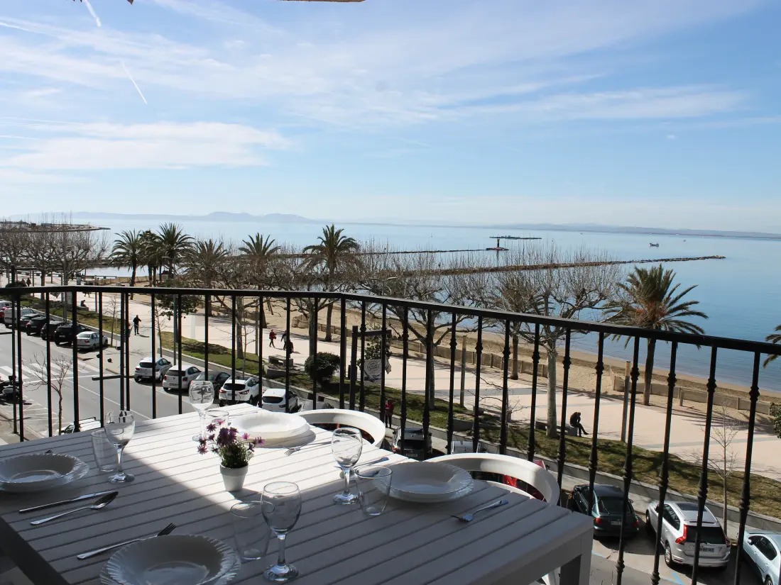 Location de Vacances Roses 725