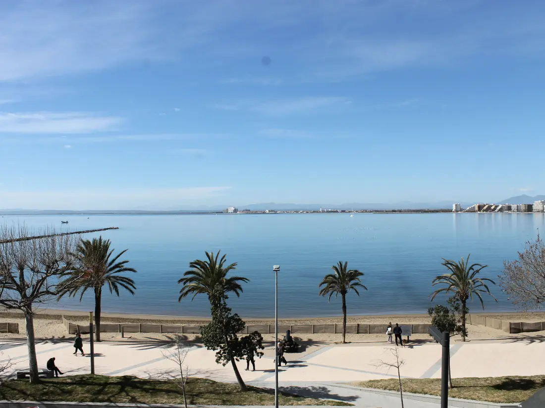 Location de Vacances Roses 725