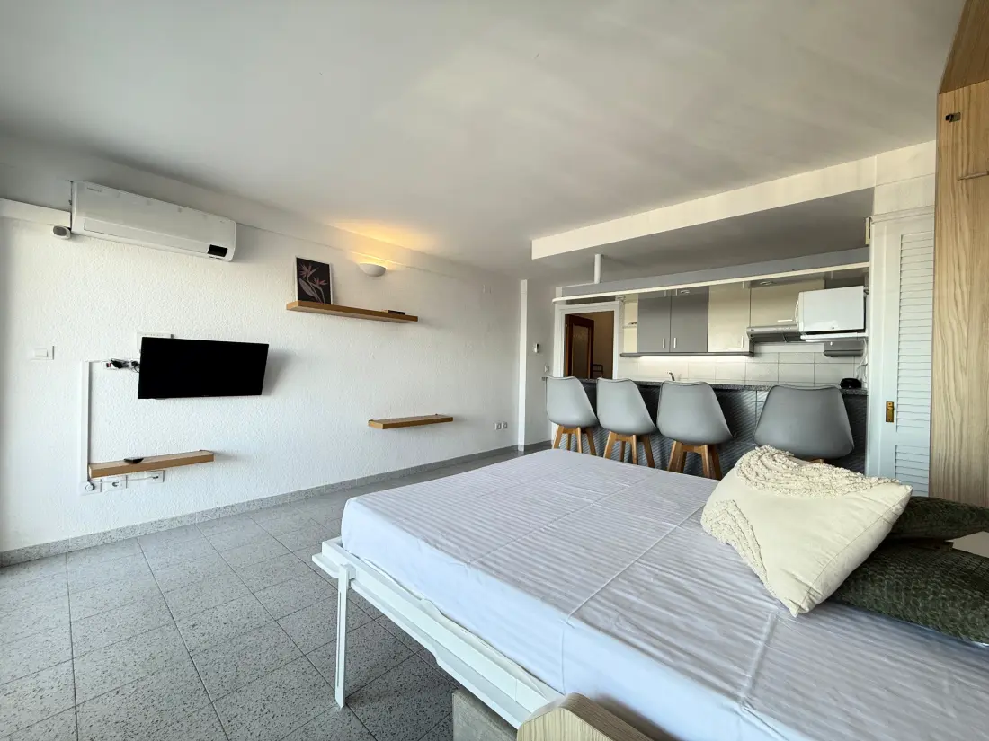 Location de Vacances Roses 725