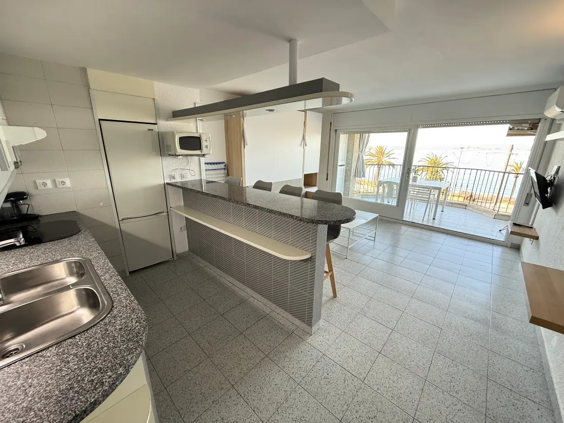 Location de Vacances Roses 725