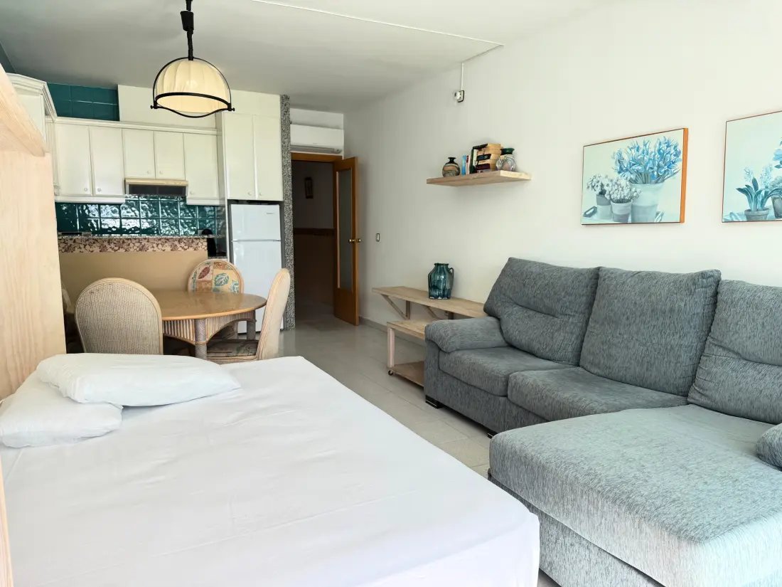 Location de Vacances Roses 731