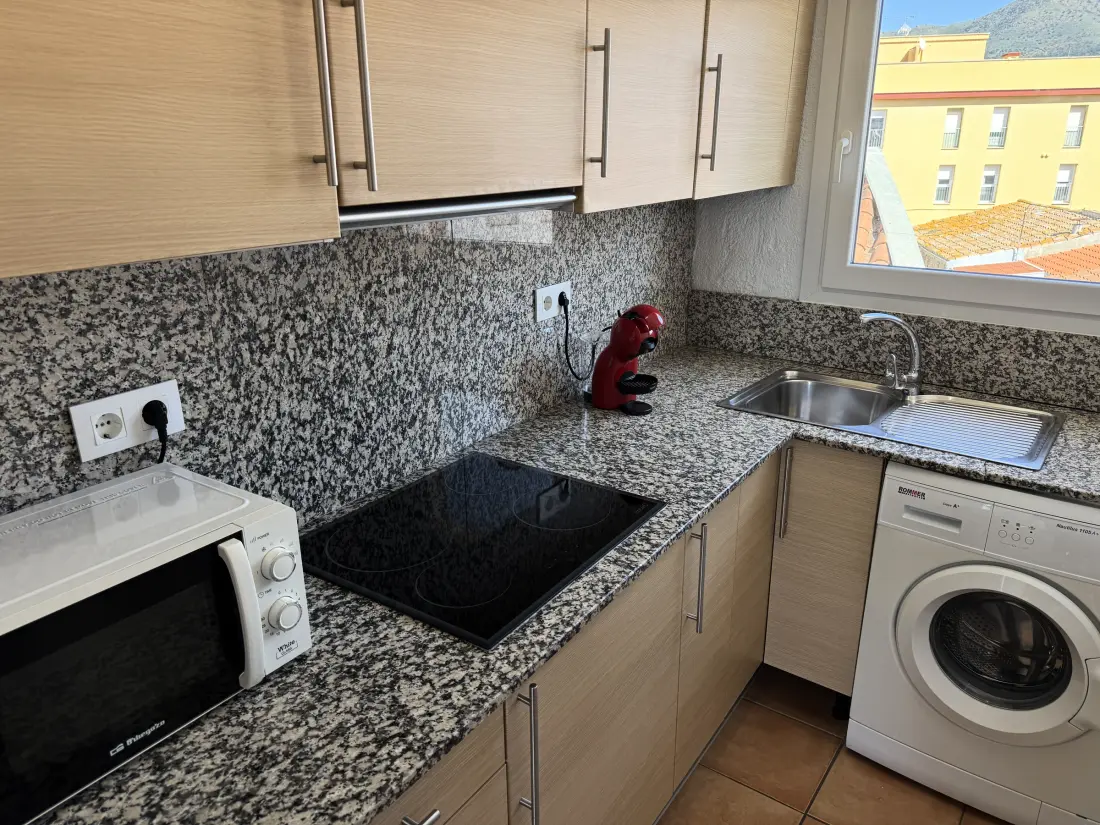 Location de Vacances Roses 732
