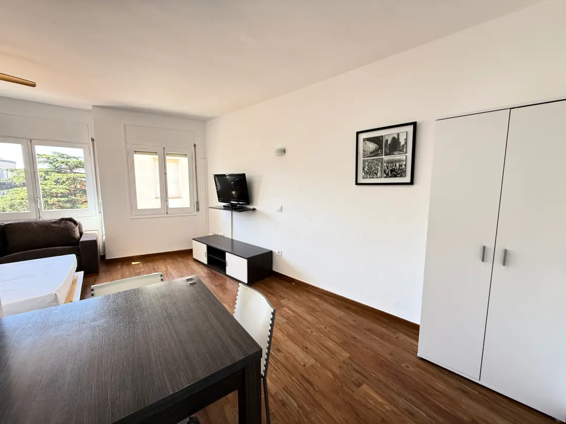 Location de Vacances Roses 732