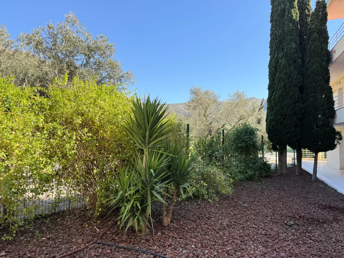 Location de Vacances Roses 736