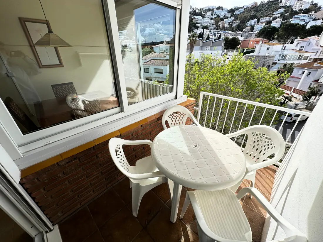 Location de Vacances Roses 737