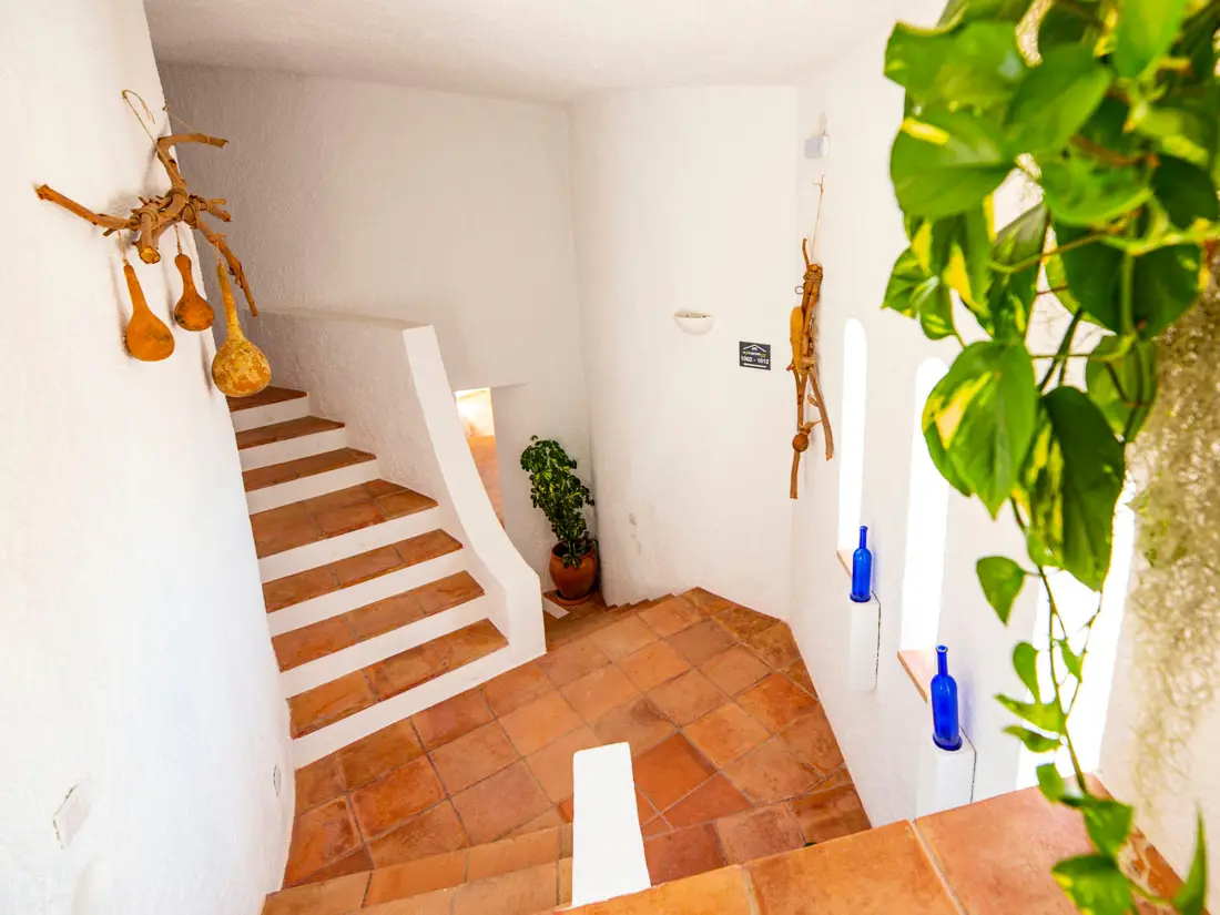 Location de Vacances Roses 741