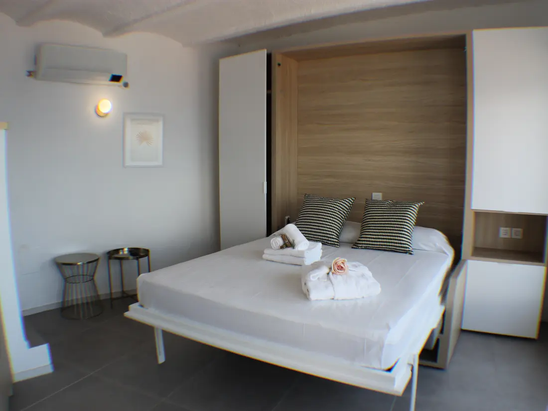 Location de Vacances Roses 741