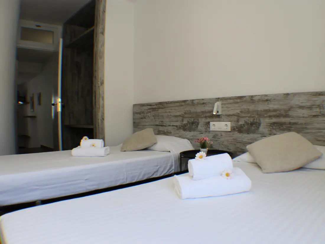 Location de Vacances Roses 743