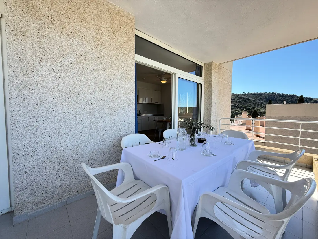 Location de Vacances Roses 746