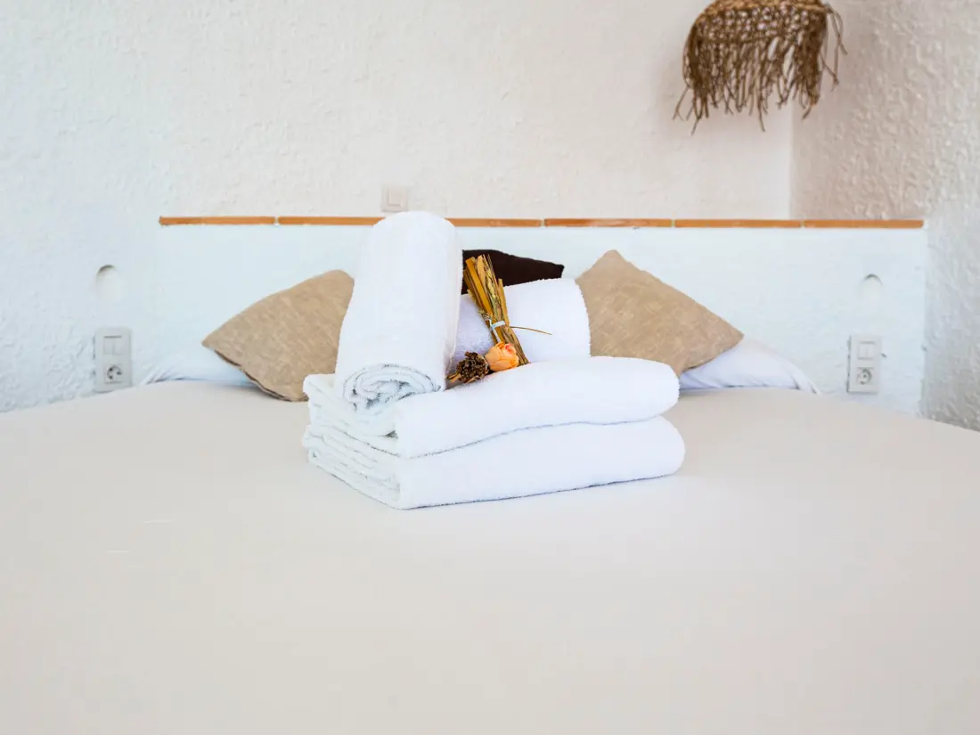 Location de Vacances Roses 758