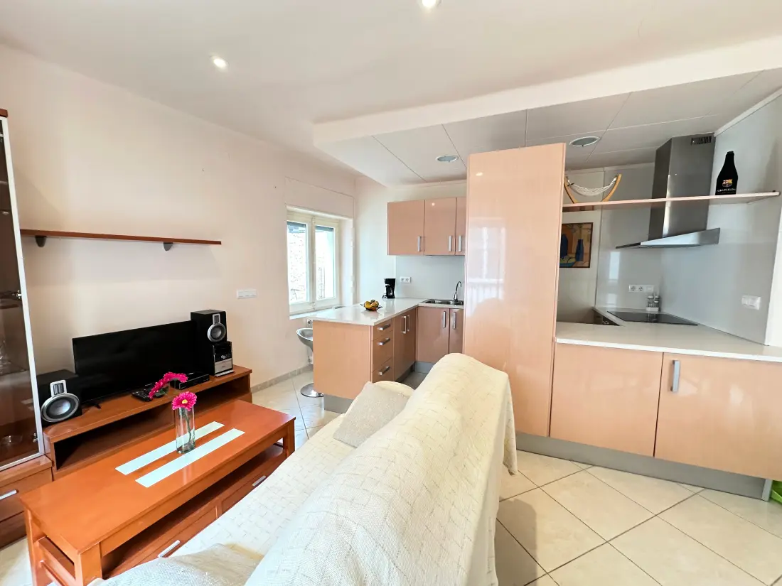 Location de Vacances Roses 761