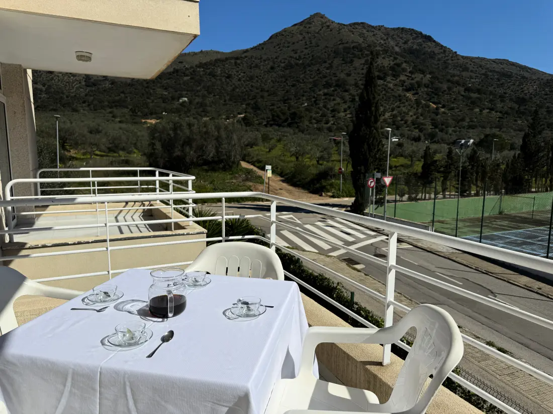 Location de Vacances Roses 765
