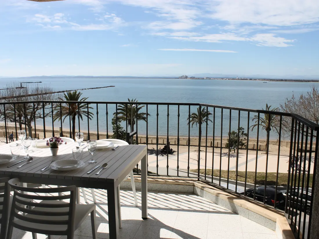 Location de Vacances Roses 768