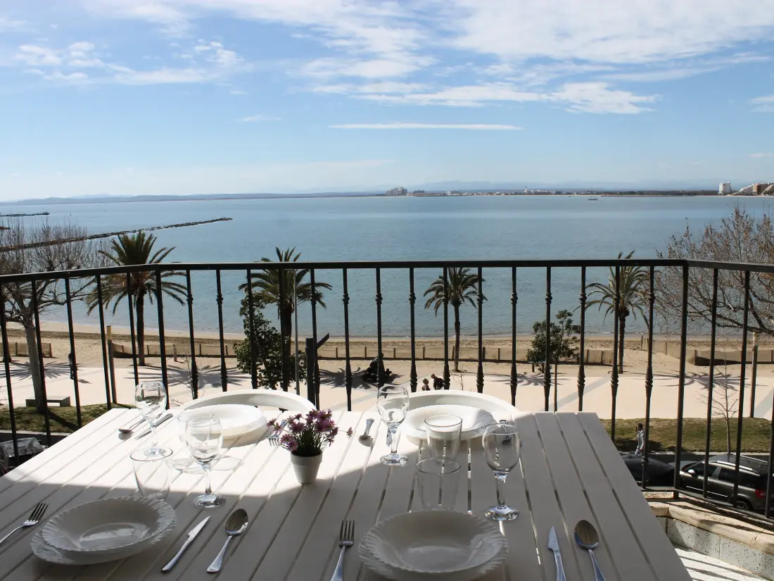 Location de Vacances Roses 768