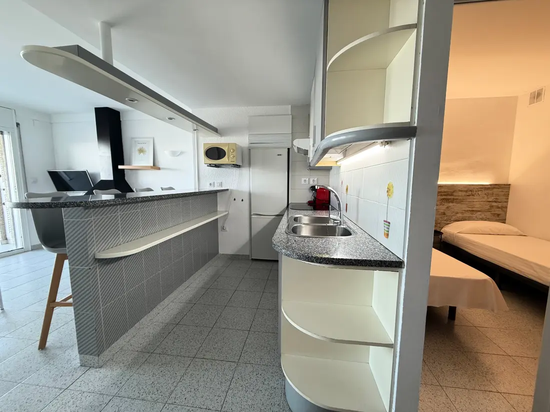 Location de Vacances Roses 768
