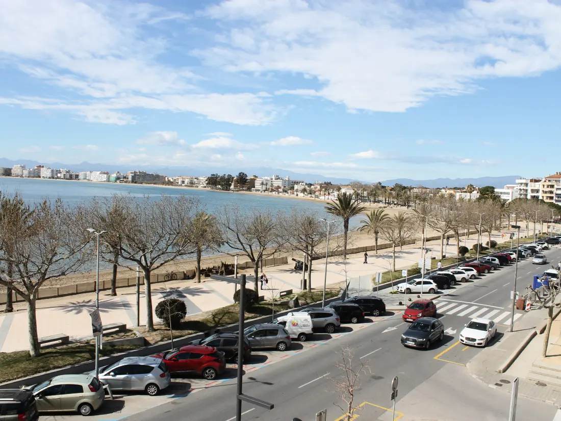 Location de Vacances Roses 768