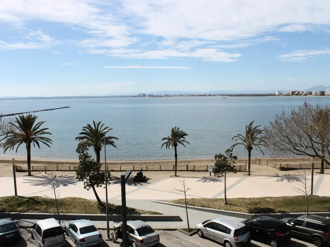 Location de Vacances Roses 768