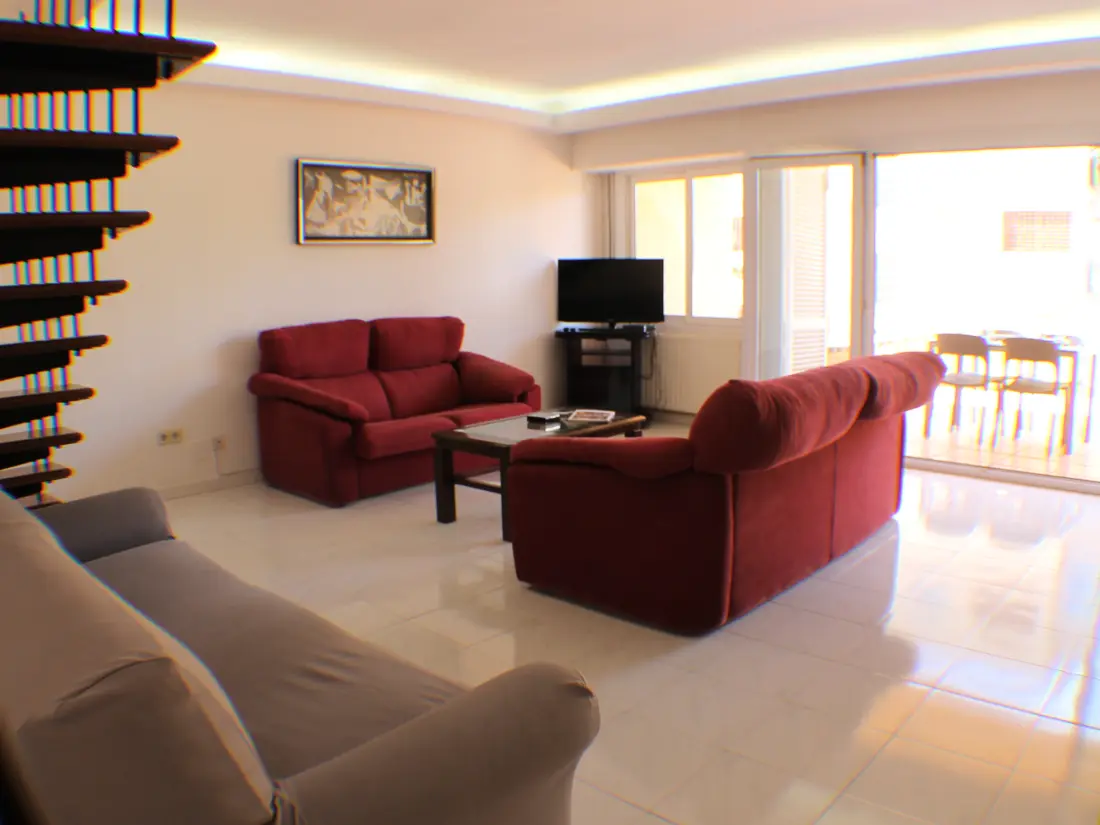 Location de Vacances Roses 769