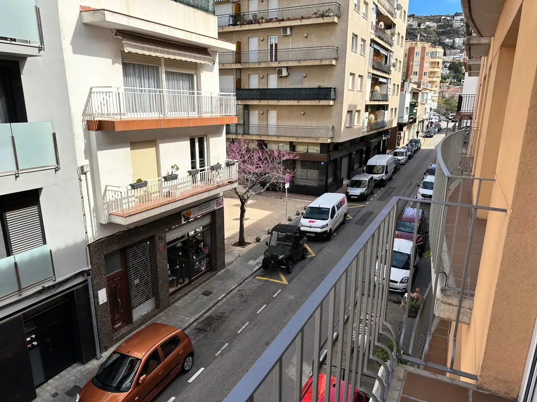 Location de Vacances Roses 771