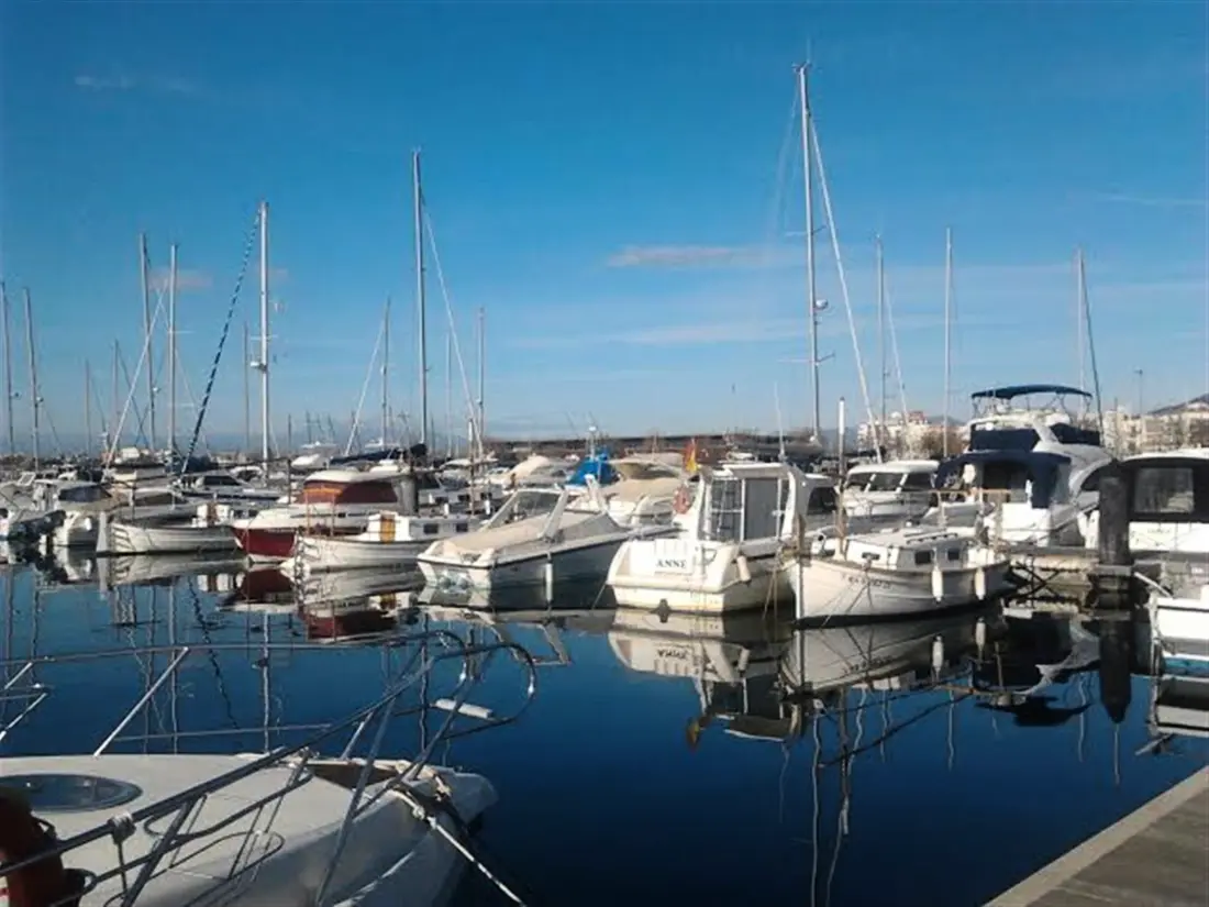 Location de Vacances Roses 771