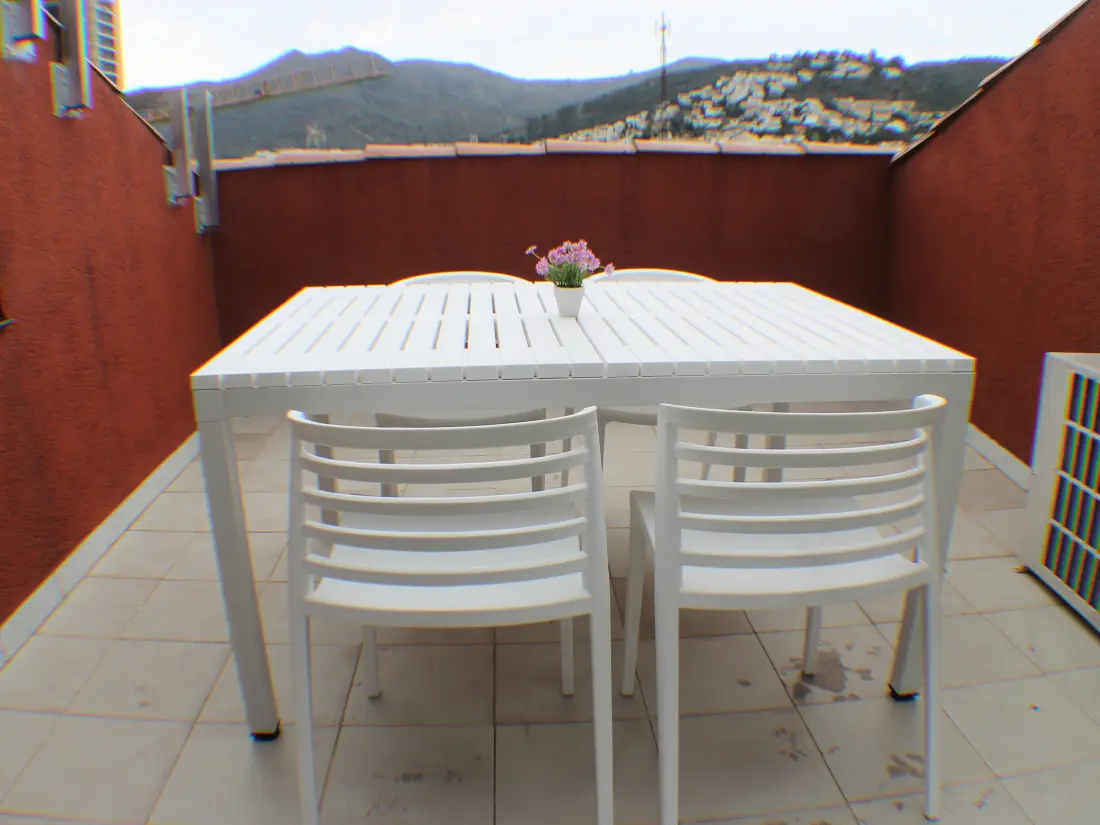 Location de Vacances Roses 776