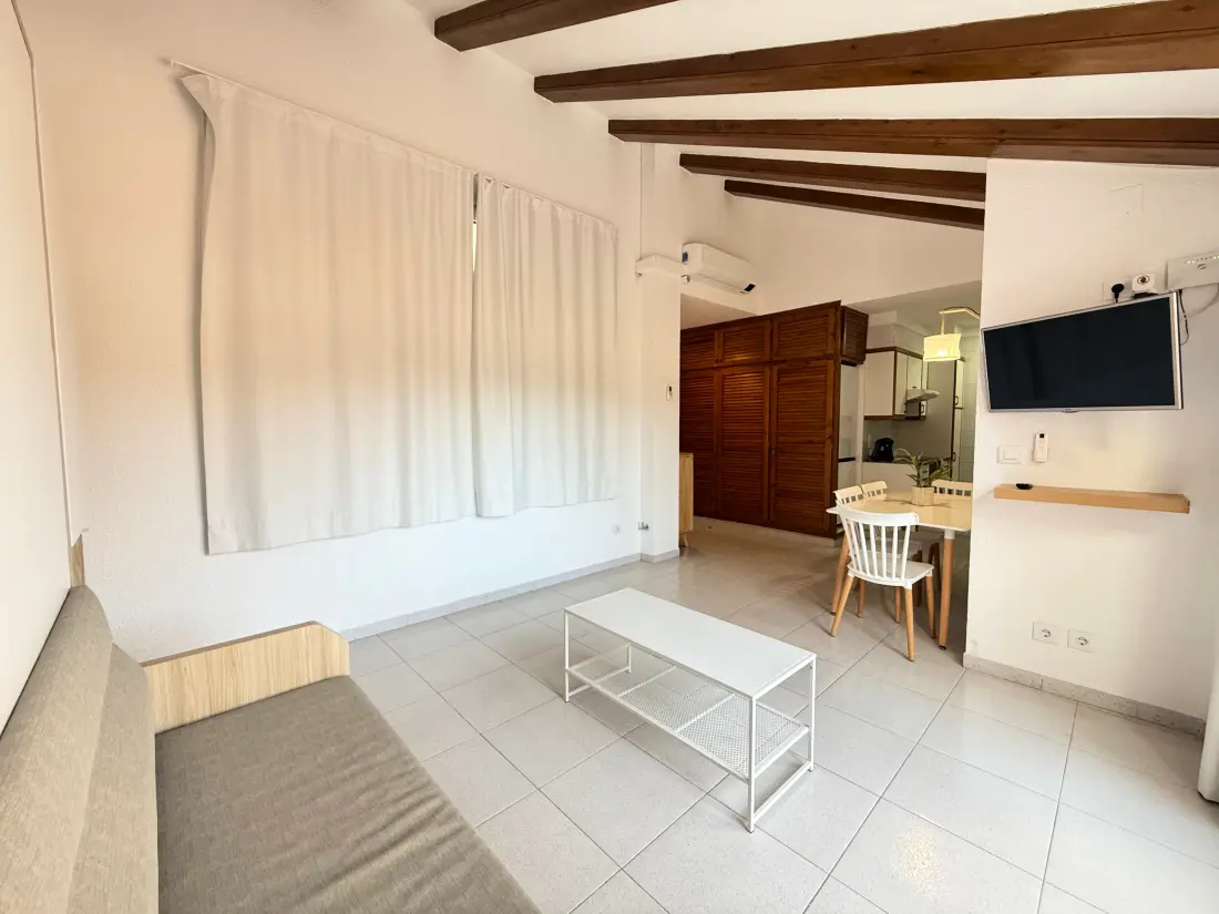 Location de Vacances Roses 776
