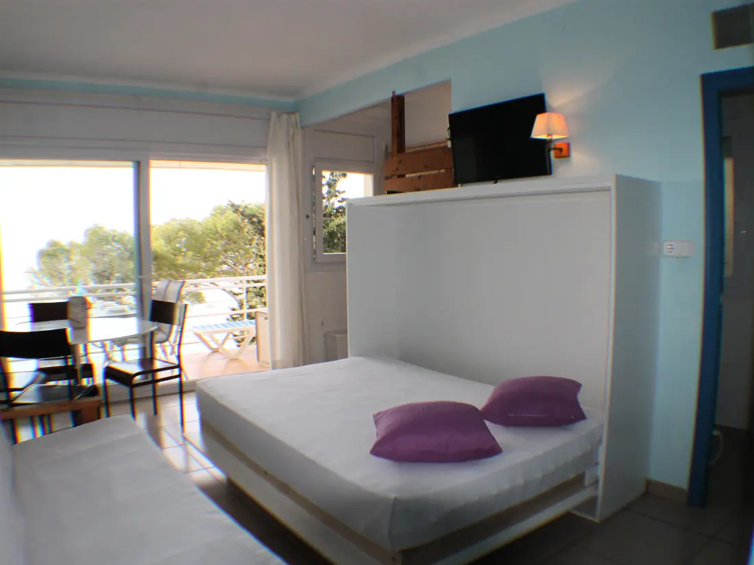 Location de Vacances Roses 782