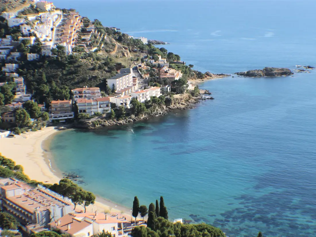 Location de Vacances Roses 782