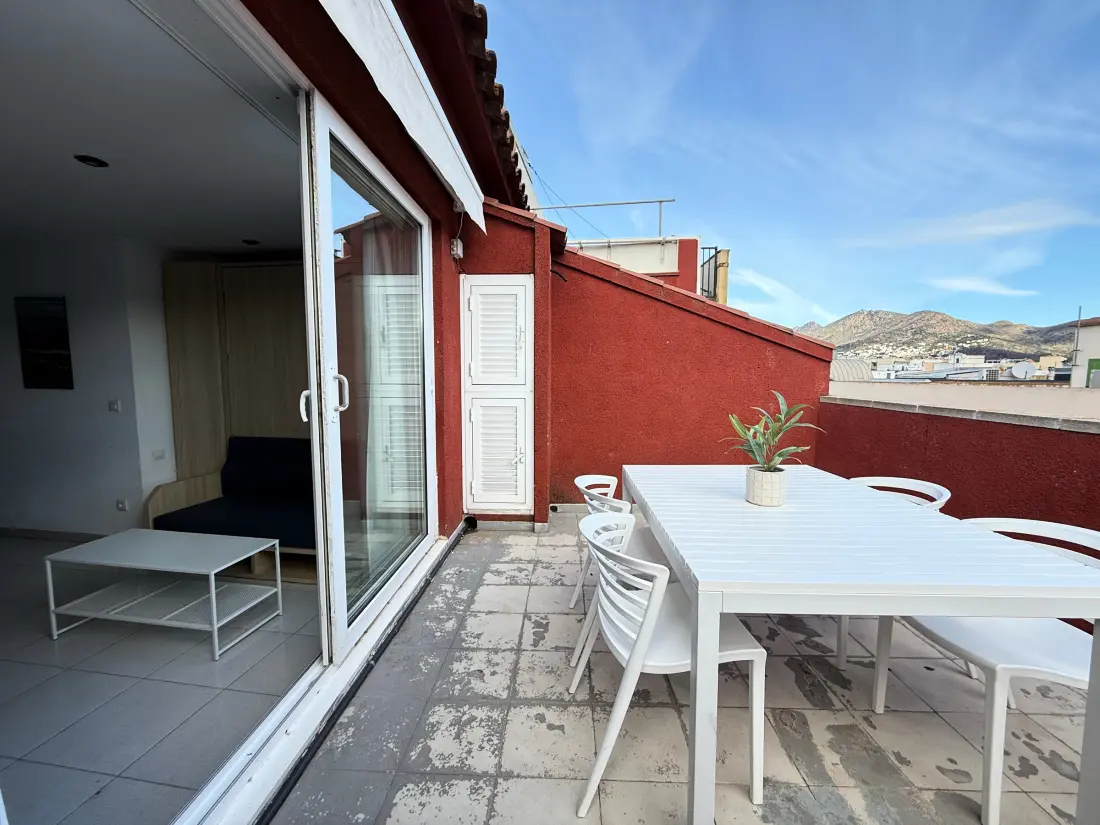 Location de Vacances Roses 785